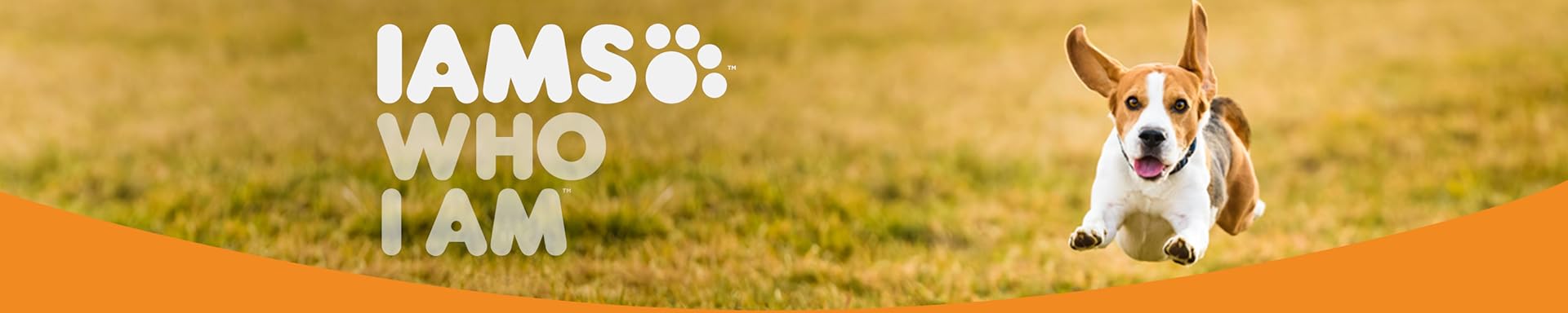 IAMS Brand Banner