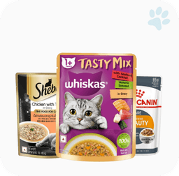 Wet Food