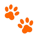 Paw icon