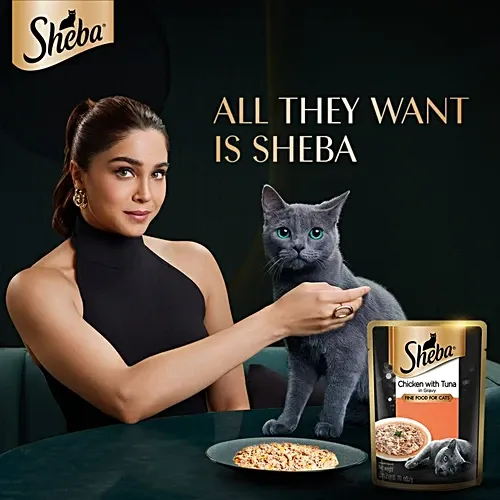 Sheba Tuna Chicken Wet Food view 4