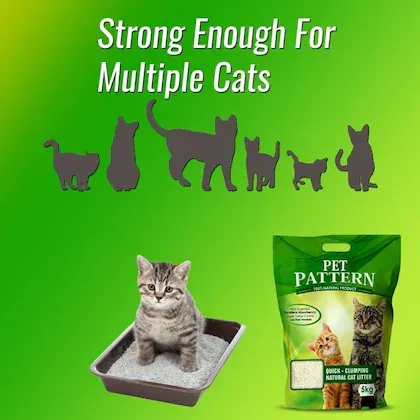 Pet Pattern Non Scented Cat Litter view 4