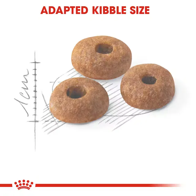 Royal Canin Regular Fit 32 Dry Food view 2