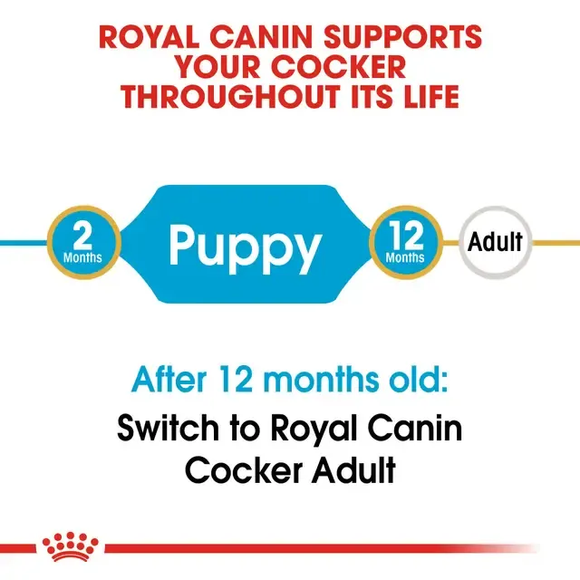 Royal Canin Cocker Puppy Dry Food view 3