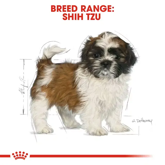 Royal Canin Shih Tzu Puppy Dry Food view 3