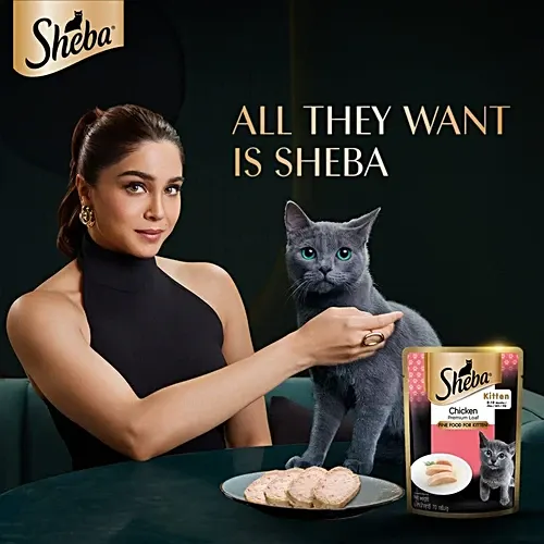 Sheba Chicken Kitten Wet Food view 4