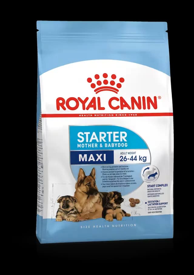 Royal Canin Maxi Starter Mother Baby Dog Dry Food view 1