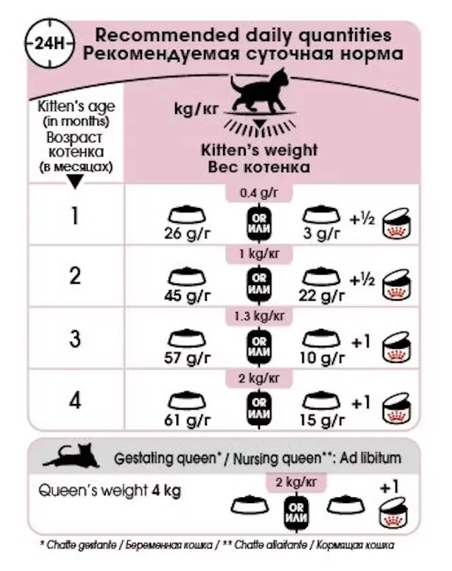 Royal Canin Mother Baby Cat Dry Food view 4