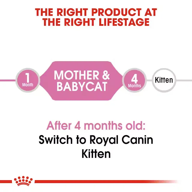Royal Canin Mother Baby Cat Dry Food view 2