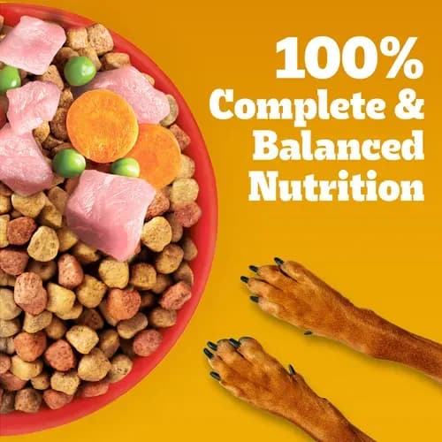 Pedigree Adult Chicken Vegetables Dry Food view 3