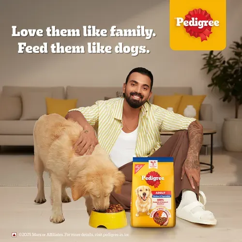 Pedigree Adult Chicken Vegetables Dry Food view 4