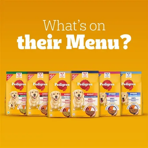 Pedigree Adult Chicken Vegetables Dry Food view 2