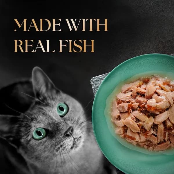 Sheba Fish with Dry Skipjack Premium Cat Wet Food view 4