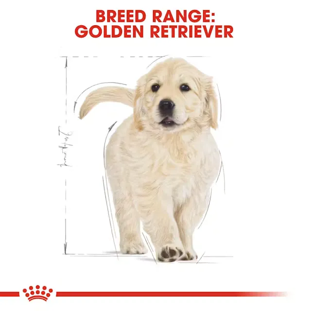 Royal Canin Golden Retriever Puppy Dry Food view 3