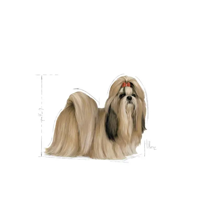 Royal Canin Shih Tzu Adult Dry Food view 4