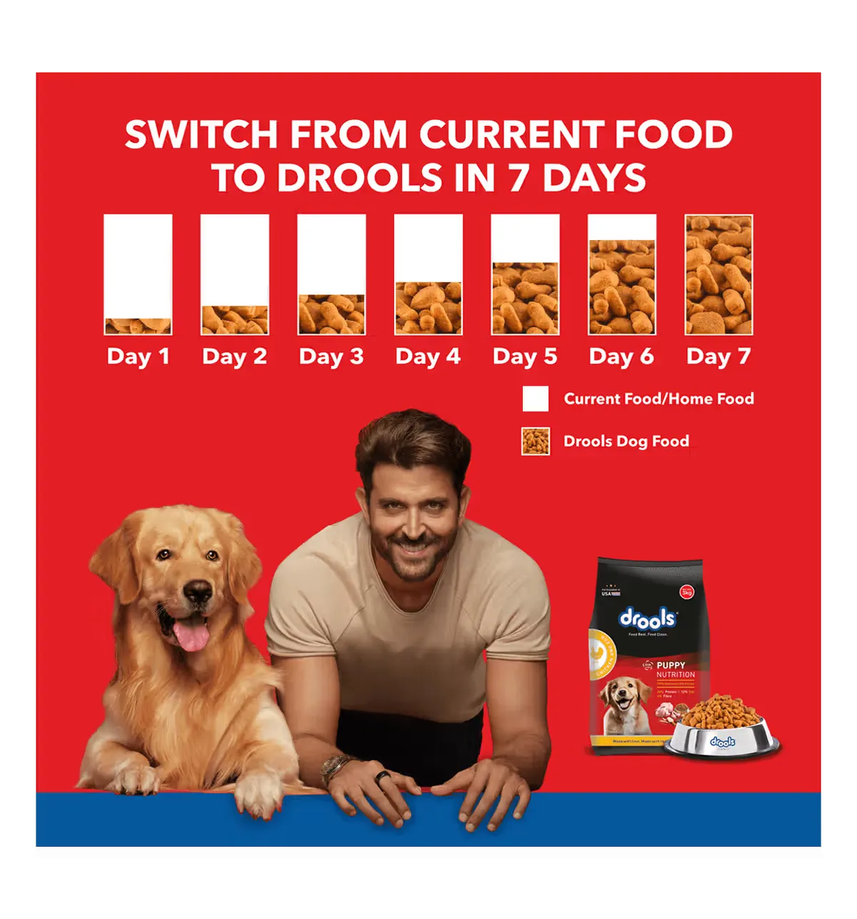 Drools Puppy Chicken Egg Dry Food view 3