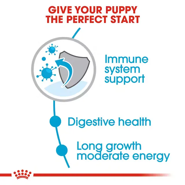 Royal Canin Maxi Puppy Dry Food view 4