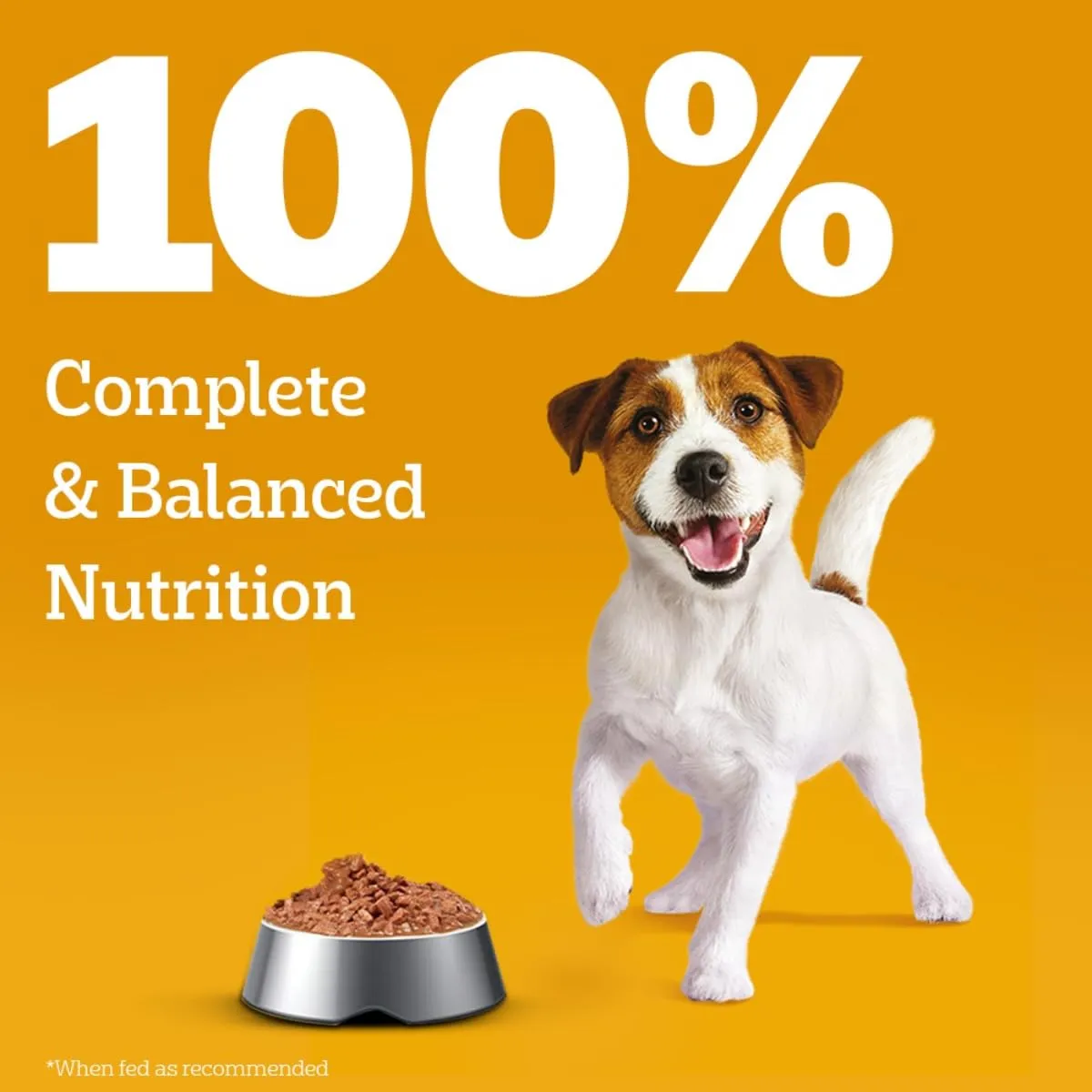 Pedigree Puppy Lamb Gravy Wet Food view 4
