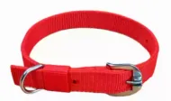 Royal Pet Needs Flexy Collar V2 view 1