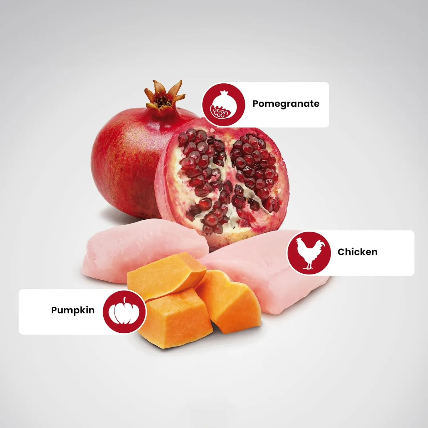 Farmina Nd Pumpkin Dog Chicken Pomegranate Puppy Dry Food view 3