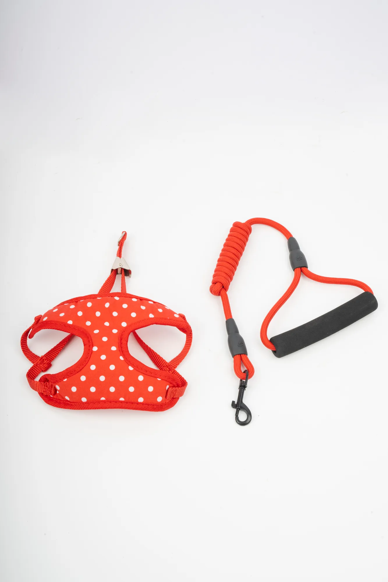 Companion Needs Eco Set Small Breeds Harness view 3