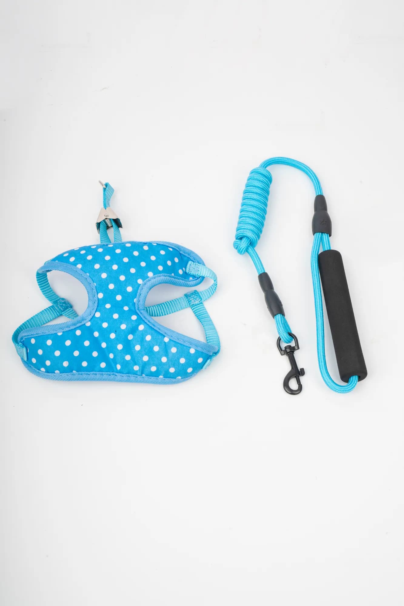 Companion Needs Eco Set Small Breeds Harness view 1