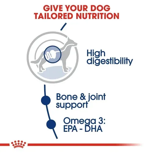 Royal Canin Maxi Adult Dog Food view 4