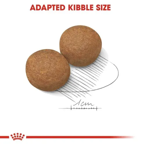 Royal Canin Maxi Adult Dog Food view 3