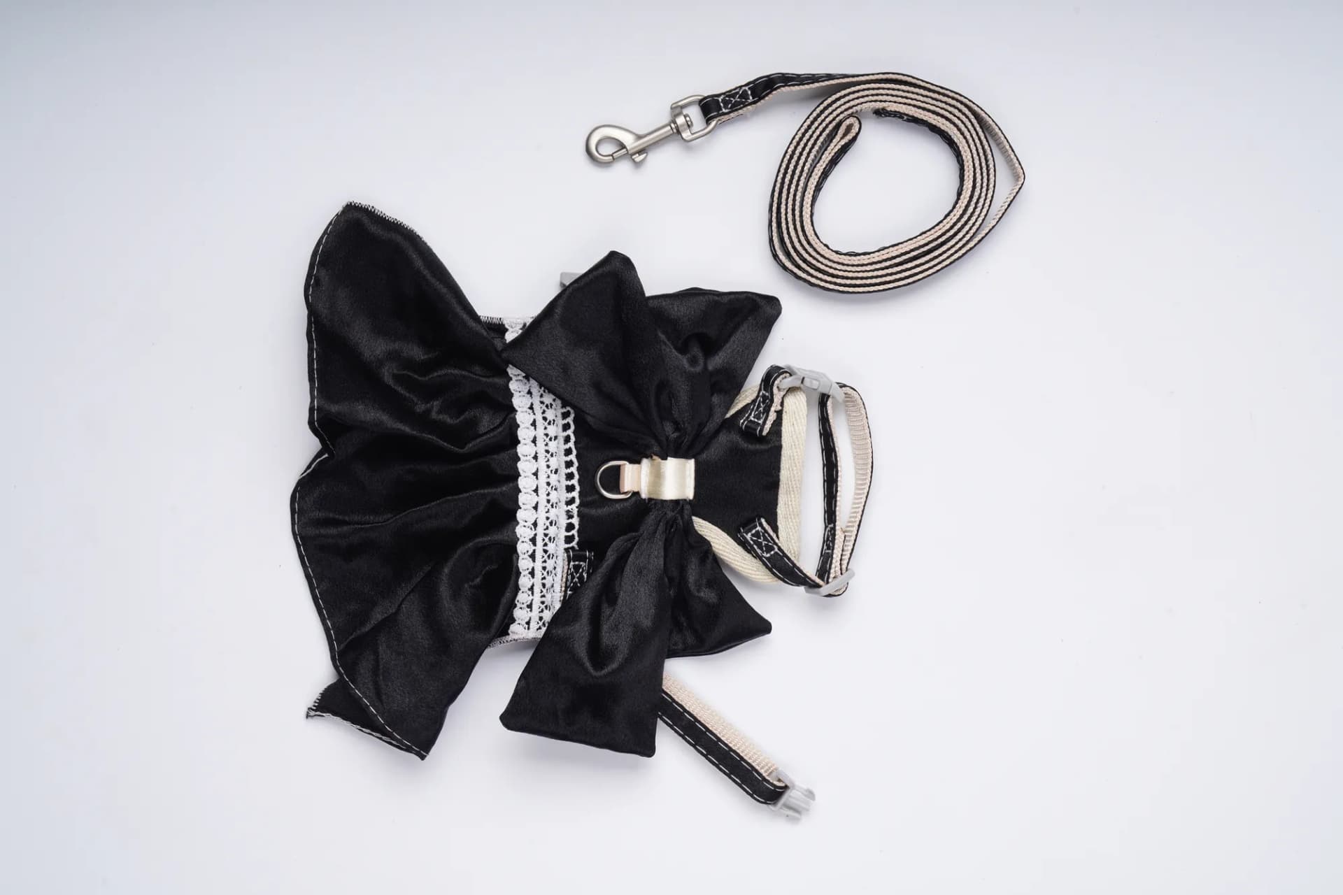 Companion Needs Frock Set Leash view 2