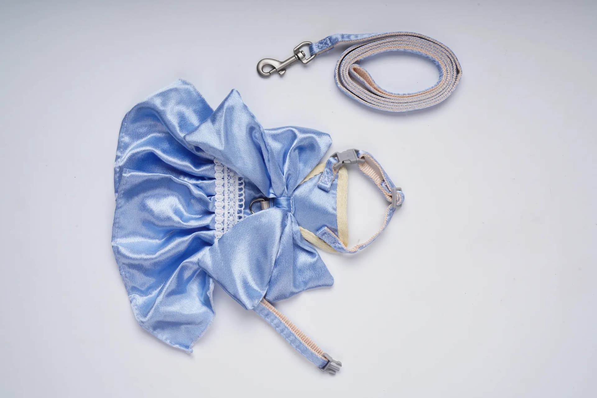 Companion Needs Frock Set Leash view 1