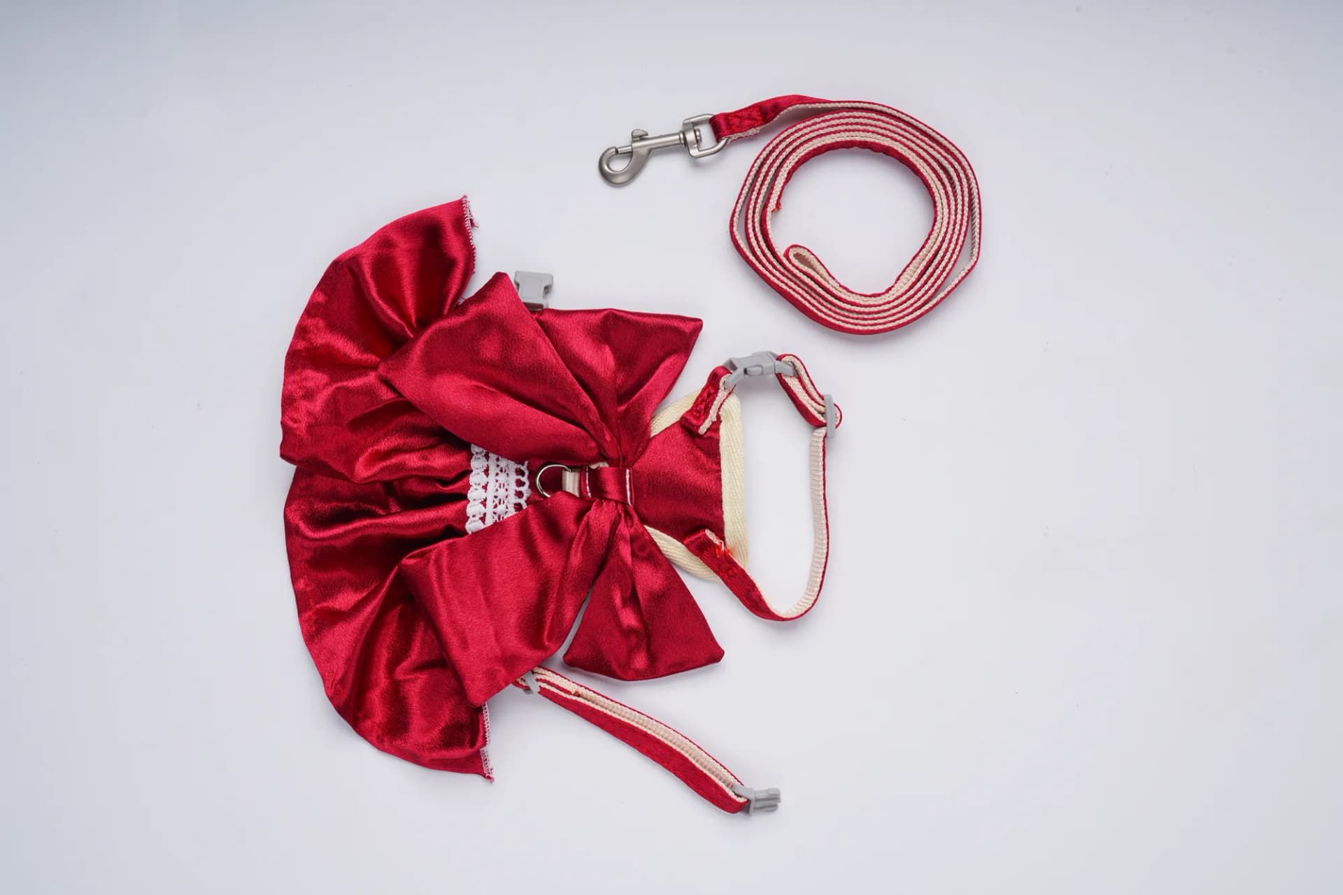 Companion Needs Frock Set Leash view 3