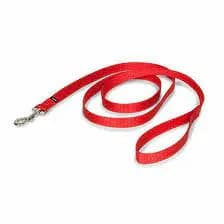 Royal Pet Needs Nylon Dog Lead Leash view 1