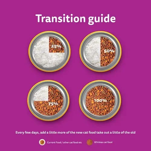 Whiskas Tuna Adult Cat Dry Food view 3