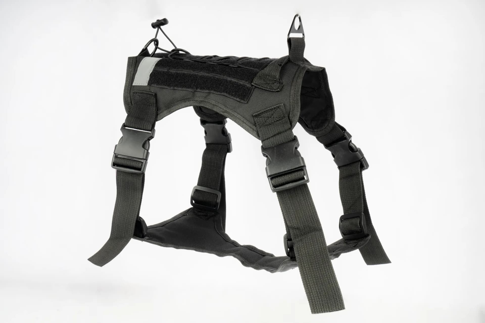 Companion Needs Prime Tactical Leash view 2