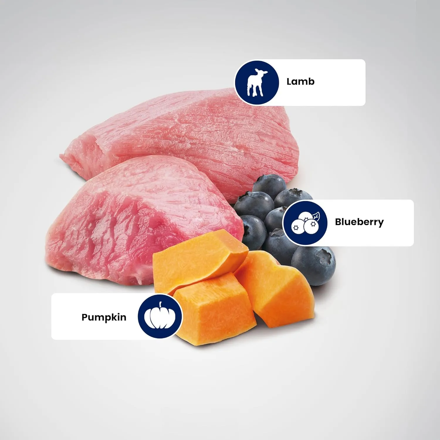 Farmina Nd Pumpkin Lamb Blueberry Adult Mini Dry Food view 2