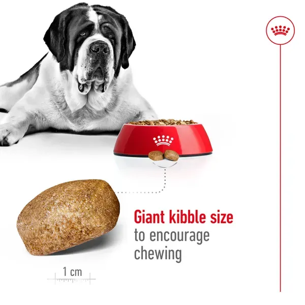 Royal Canin Giant Adult Dry Food view 2
