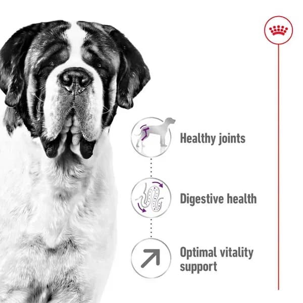 Royal Canin Giant Adult Dry Food view 4