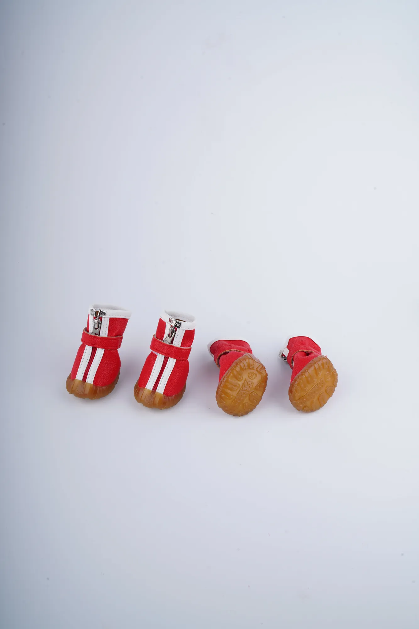 Companion Needs Dog Shoes Paw Wear view 3