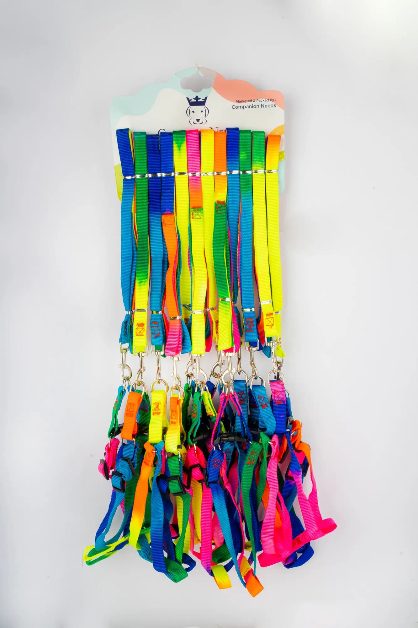 Companion Needs Rainbow Lh Set Leash view 3