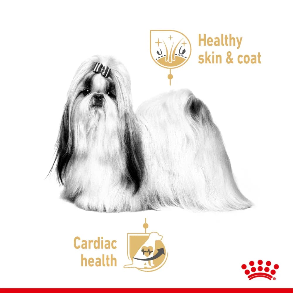 Royal Canin Shih Tzu Over 12 Dry Food view 2