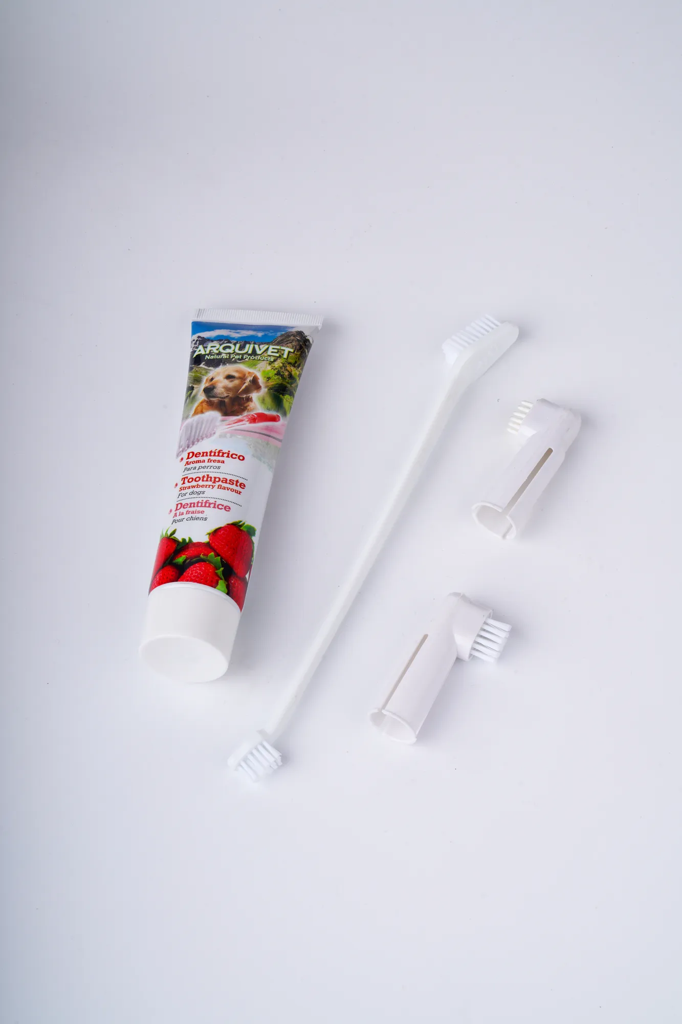 Companion Needs Toothbrush Set Paste Dental Care