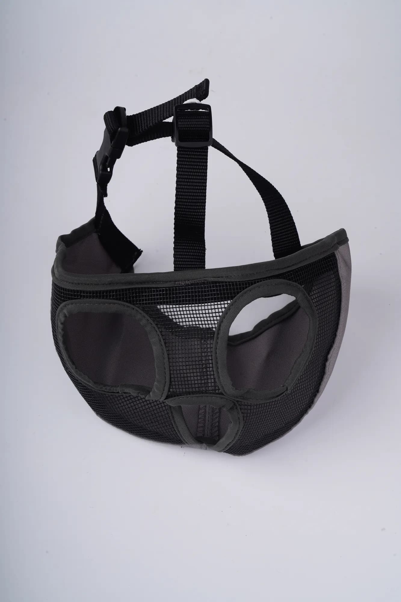 Companion Needs Short Snout Dog Muzzle view 1