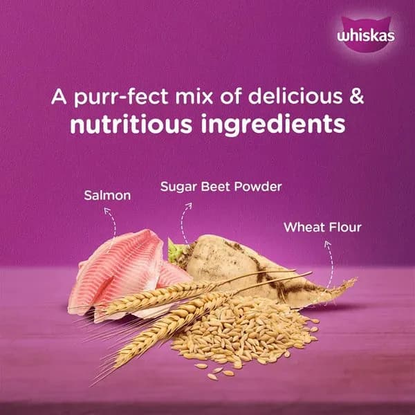 Whiskas Salmon Gravy Meal Adult Cat Wet Food view 2