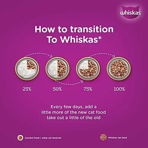 Whiskas Junior Kitten Cat Mix Dog Treats view 3