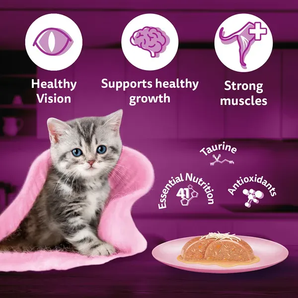 Whiskas Chicken Salmon Jelly Kitten Cat Wet Food view 4