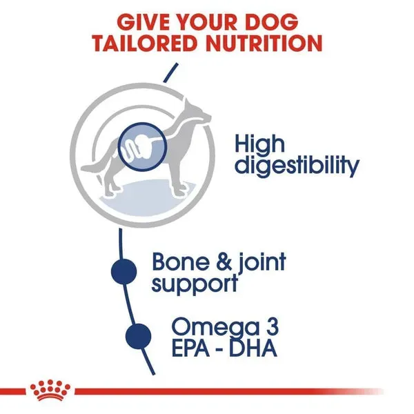 Royal Canin Maxi Adult Dog Wet Food view 2