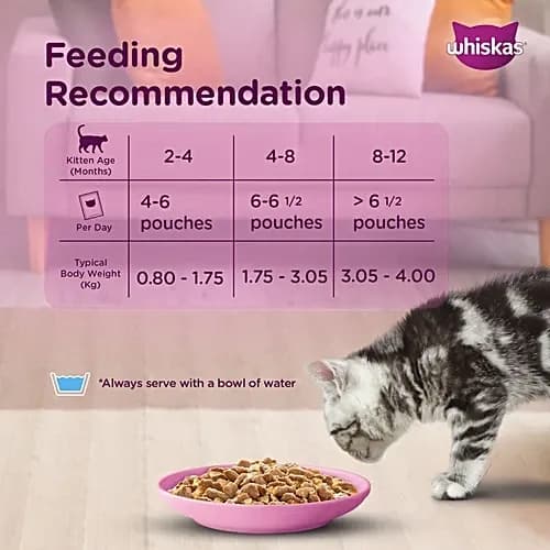 Whiskas Junior Kitten Cat Mix Seafood Cocktail Wet Food view 3
