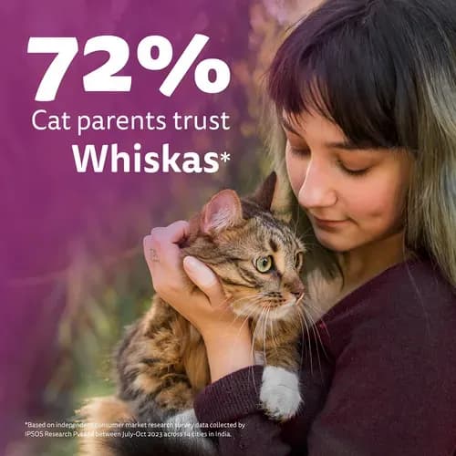 Whiskas Chicken Cat Adult Dry Food view 3