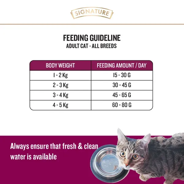 Signature Ocean Fish Sardine Mackerel Adult Cat Dry Food view 3