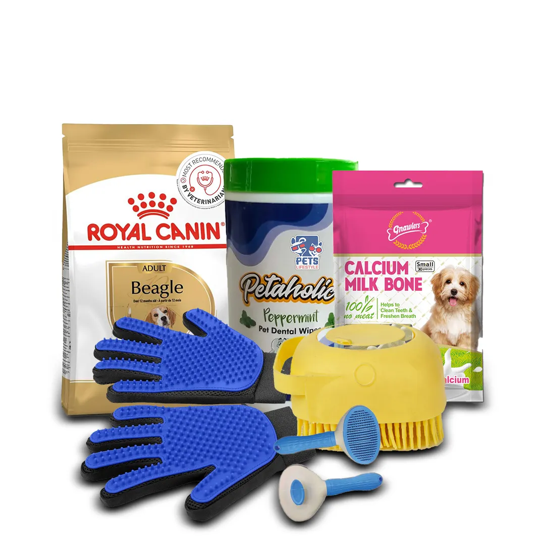Adult Beagle Everyday Royal Canin Bundle view 1