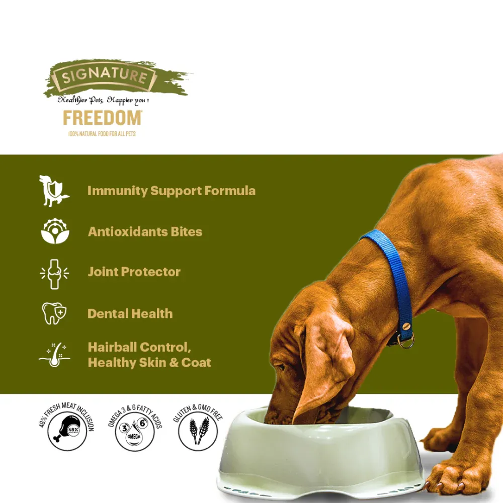 Signature Freedom Adult Chicken Rice Dog Dry Food view 4